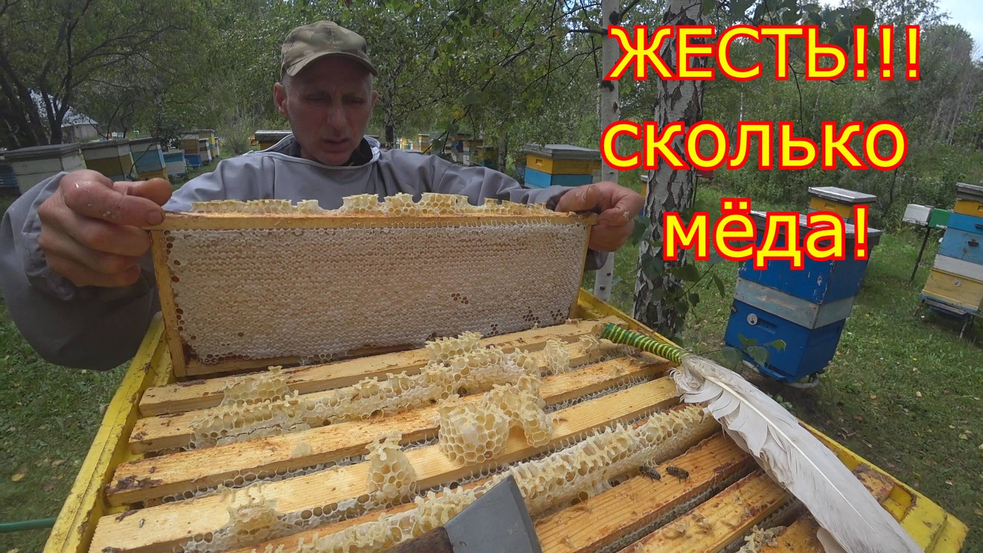 ЭТО ЖЕСТЬ СКОЛЬКО МЁДА! ДВУХМАТОЧНЫЕ отбор мёда. Карника в Сибири смотреть онлайн