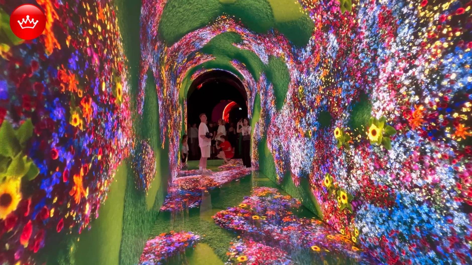 В парке Облаков парка Галицкого открылась новая локация. Кроличья Нора. смотреть онлайн