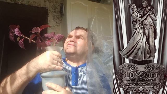 7 августа 2025. У нас с Надеждой сегодня Оловянная свадьба! смотреть онлайн