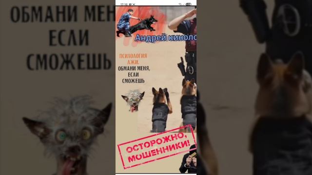 Карина и продлеватели 404 смотреть онлайн