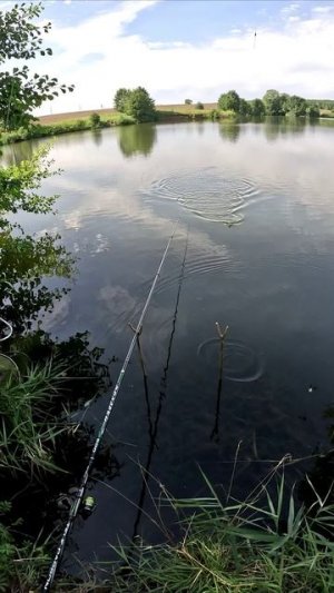 ЛОВЛЯ КАРАСЯ НА УДОЧКУ/ЛЕТНЯЯ РЫБАЛКА/КАРАСЬ/САМАРА