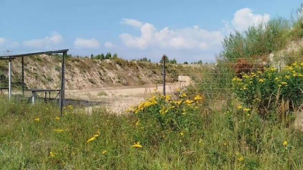 Где пострелять Рязани на 600м? Обзор СЦ "Полигон".