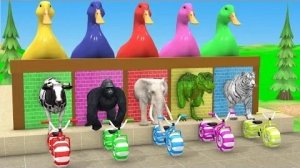 Мультфильмы для малышей дивотные напуганы