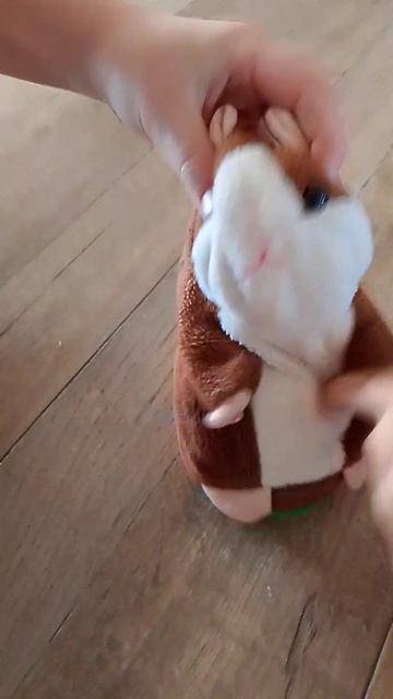 КТО С НАМИ ТАПАТЬ ХОМЯКА???