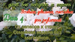 Семейная неделя без магазинов/день4