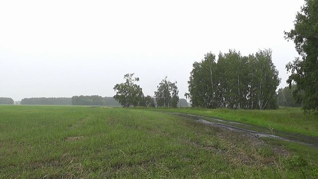 Идут дожди.Август 2025 г. смотреть онлайн