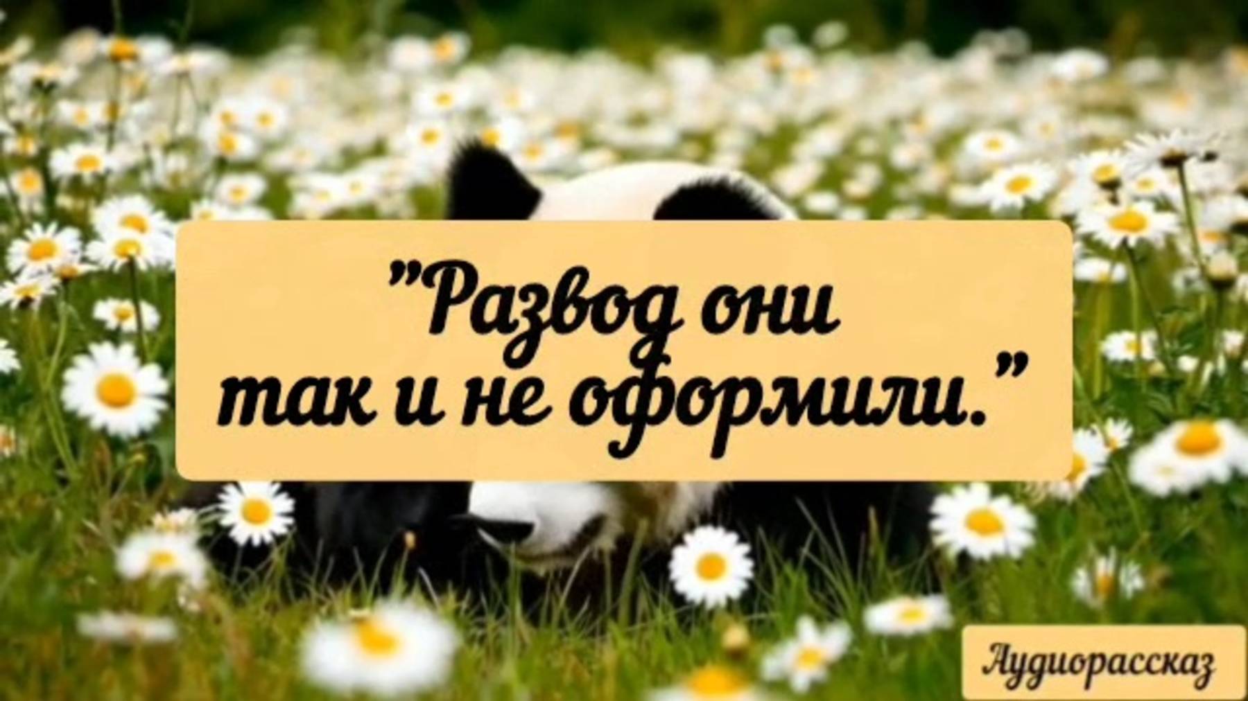 Бывшая жена мстила как могла.