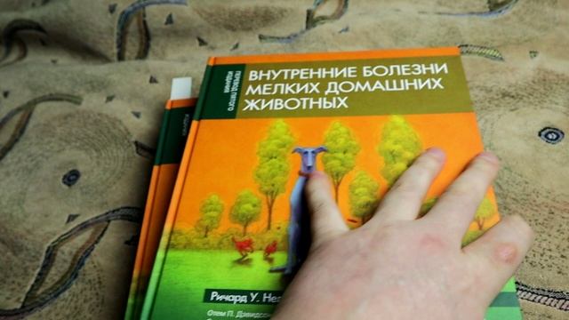 Подарок Small Animal Internal Medicine, 5 Edition, НА РУССКОМ ЯЗЫКЕ!!!