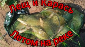 КАРАСЬ и ЛЕЩ на одну НАСАДКУ. Фидер/донка и МИНИ БОЙЛА.