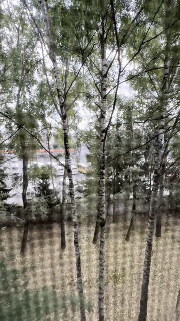 07-08-2025 смотреть онлайн