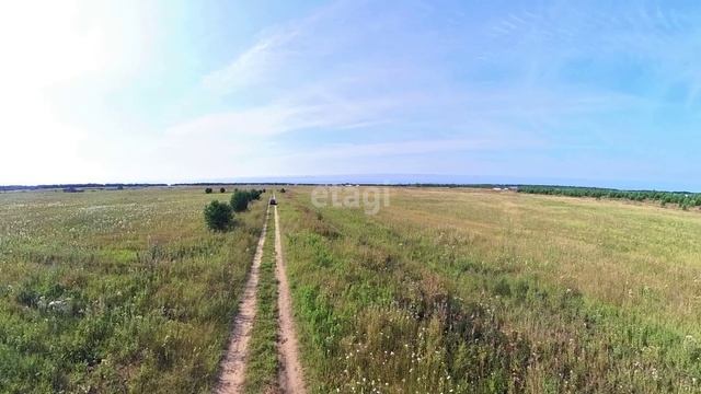 9236135, 9236194 смотреть онлайн