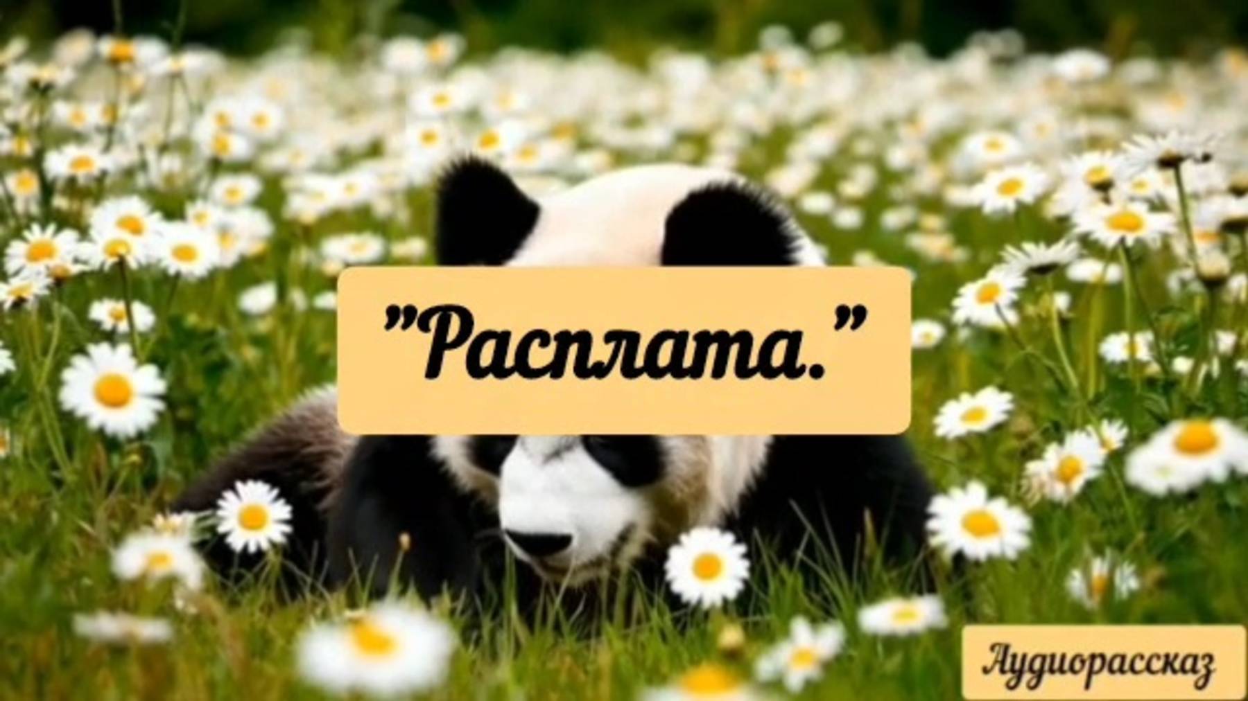 Другие истории.