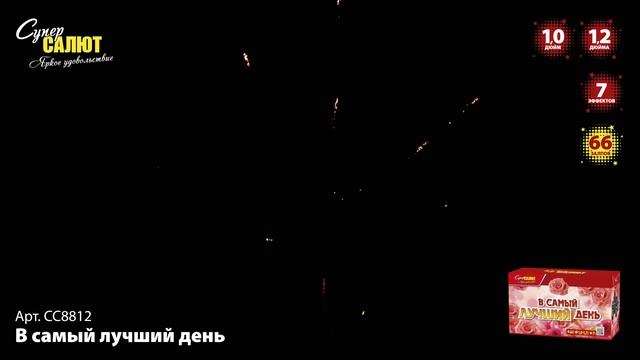 СС8812 В самый лучший день ФЕЙЕРВЕРК КАЛИБР 1,0-1,2 ЗАЛПОВ 66 смотреть онлайн