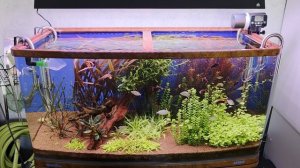 Какое оборудование нужно в аквариум?
