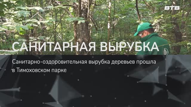 САНИТАРНАЯ ВЫРУБКА