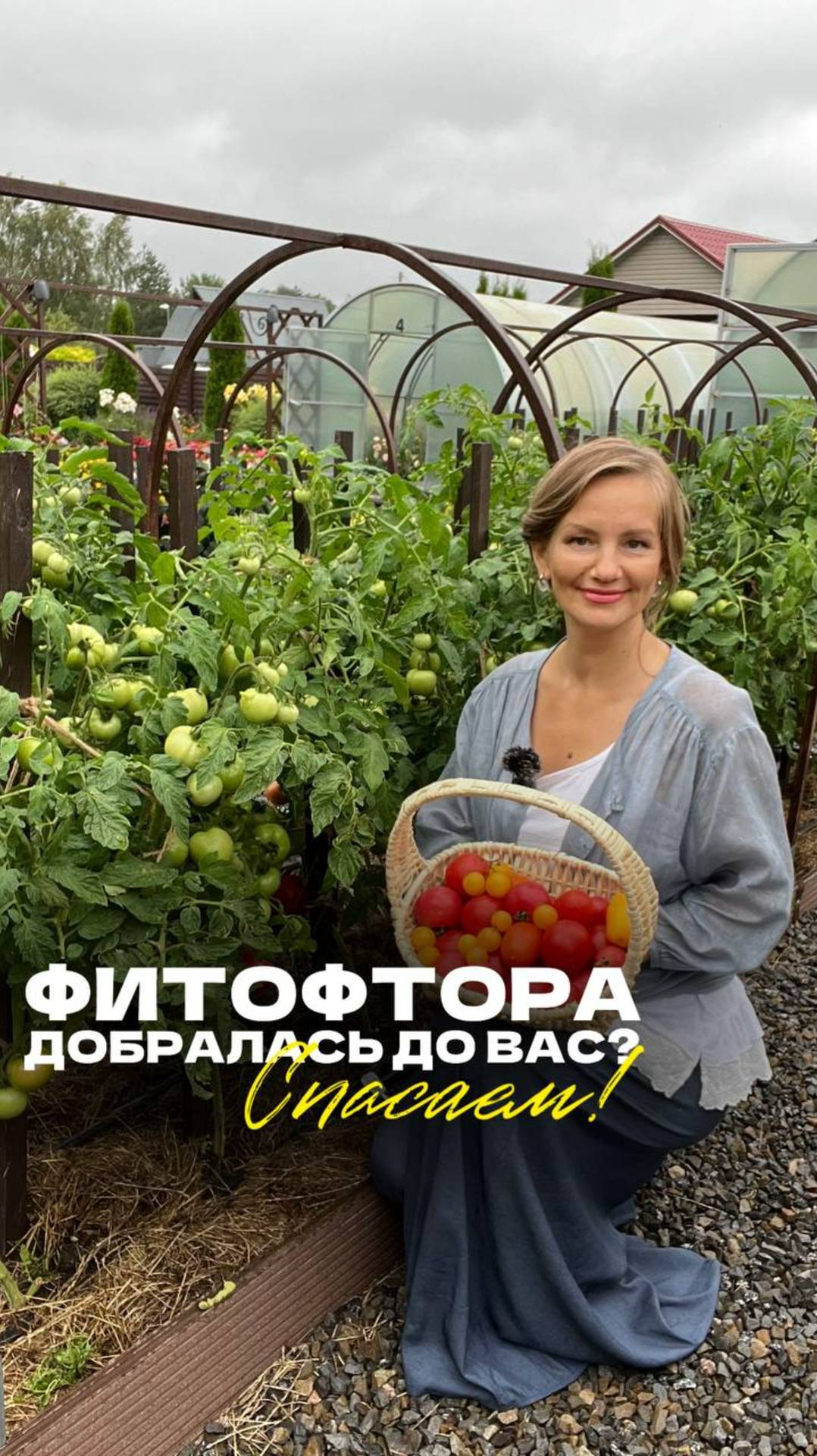 Семена Партнер