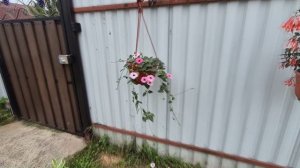 ОБЗОР УЧАСТКА НА СЕГОДНЯ.07.08.2025