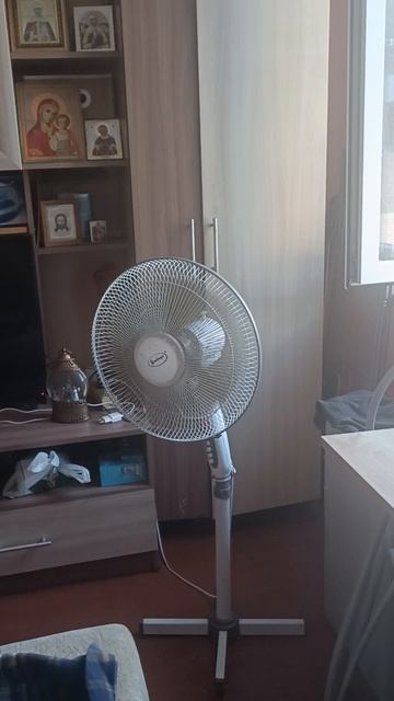 снимаю Пушка и Персика.mp4