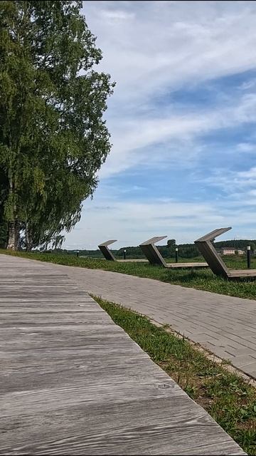 Таймлапсы: жизнь в динамике смотреть онлайн