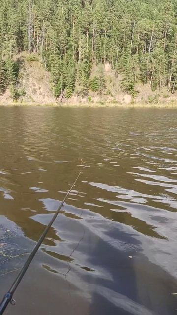 Рыбалка. момент