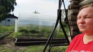 БОДРОЕ УТРО🌄🙋 РАБОТА В ОГОРОДЕ, УРОЖАЙ.