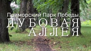 Дубовая аллея