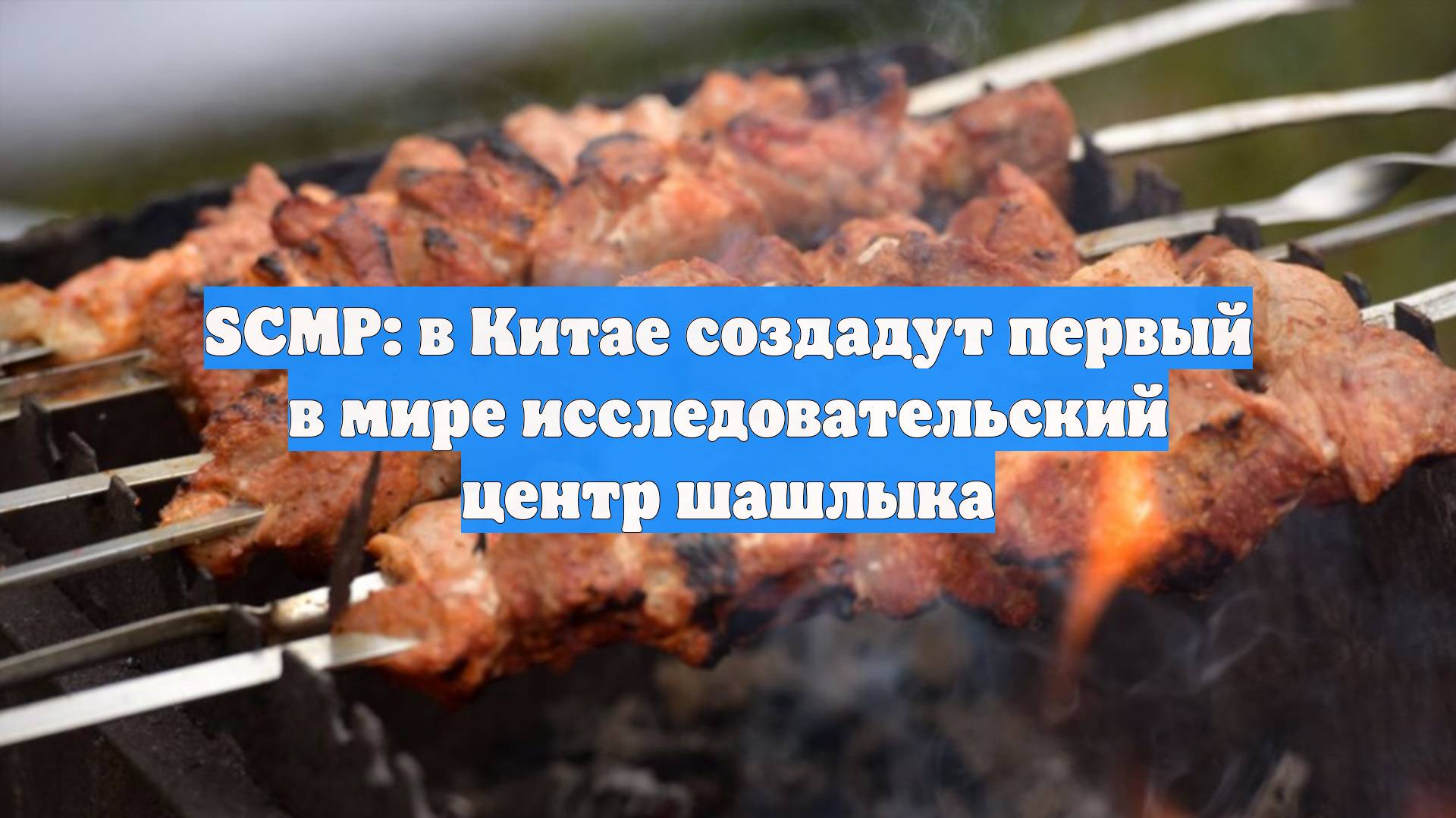 SCMP: в Китае создадут первый в мире исследовательский центр шашлыка