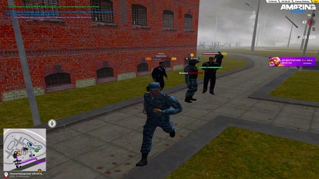 why? смотреть онлайн