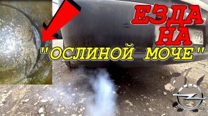 Весь двигатель собрали на герметике. К чему приводит езда на "ОСЛИНОЙ МОЧЕ"?