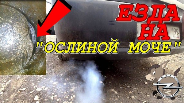 Весь двигатель собрали на герметике. К чему приводит езда на "ОСЛИНОЙ МОЧЕ"?