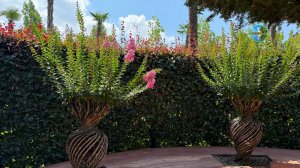 🌸 Живые вазы распустились в Парке Галицкого