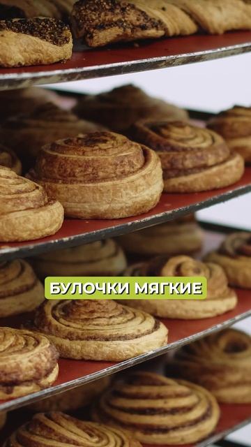 Всего ОДНА закваска для всей выпечки! смотреть онлайн