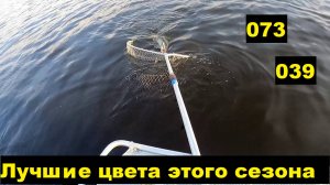 Троллинг. Лучшие цвета на судака.