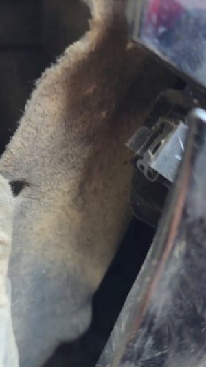 Замена бампера Changan UNI-K