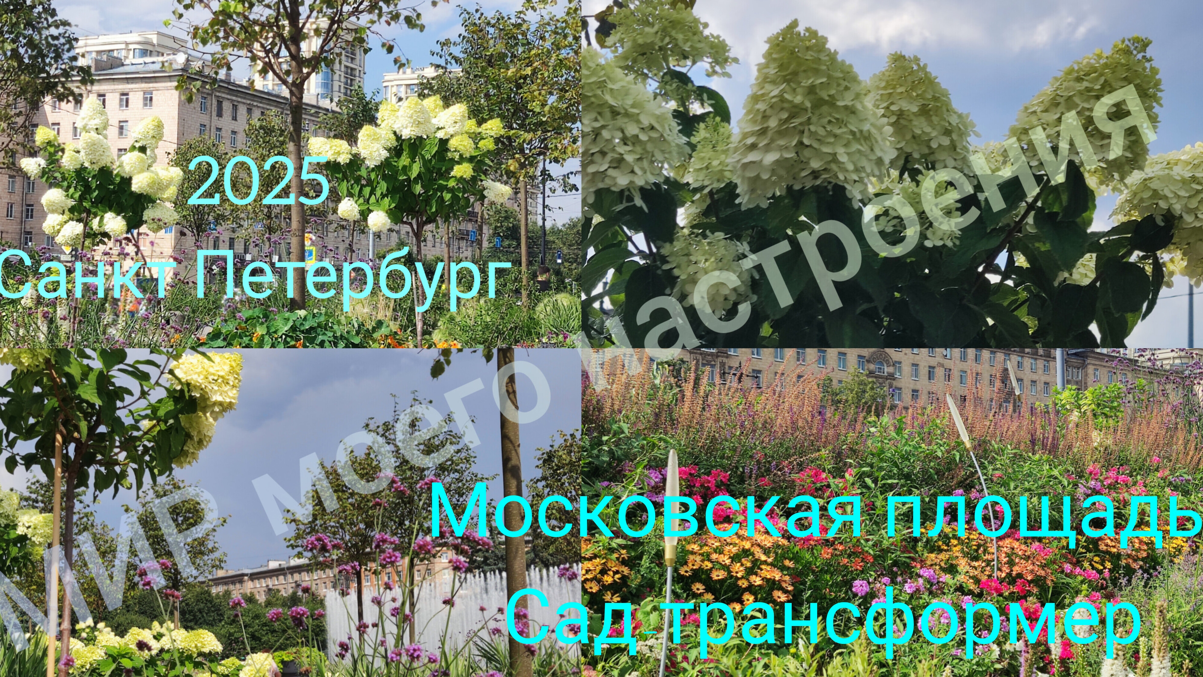 05.08.25 Санкт- Петербург.Сад-трансформер на Московской площади.Интересные идеи для садовых композий смотреть онлайн