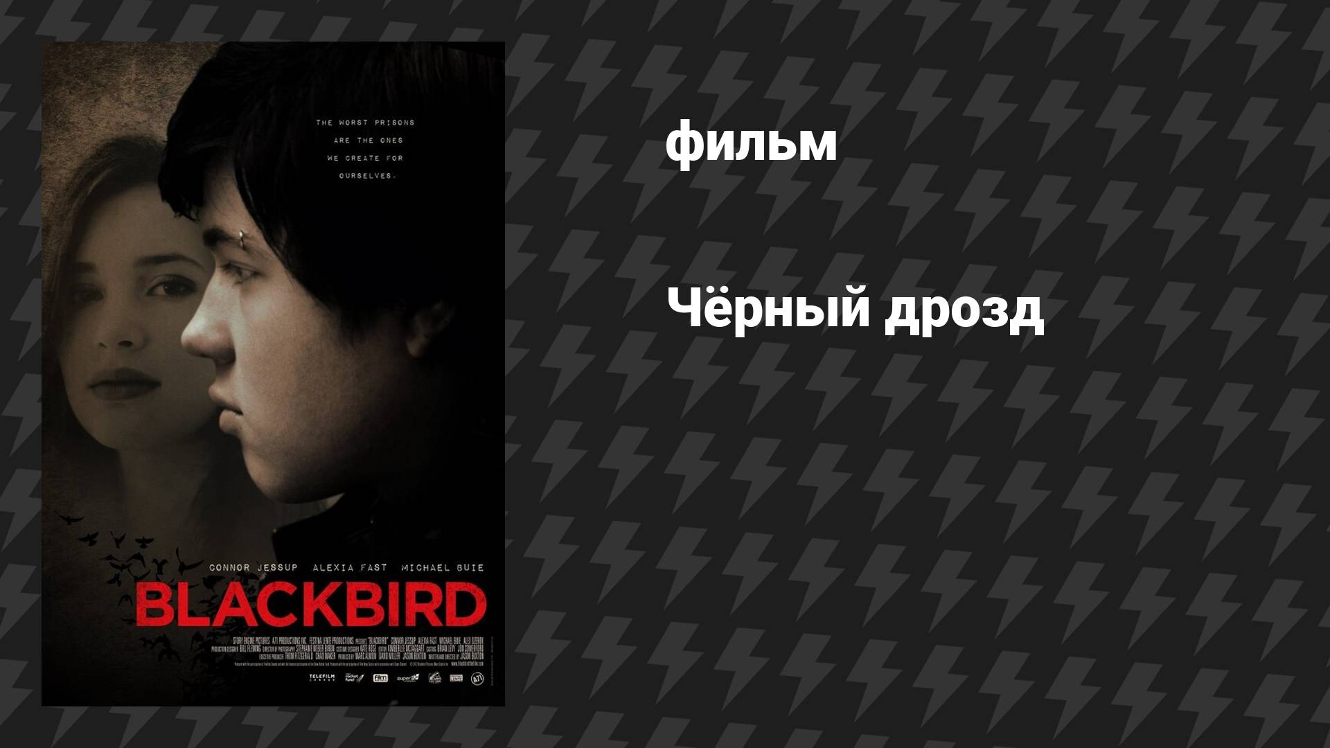 Чёрный дрозд (фильм, 2012)