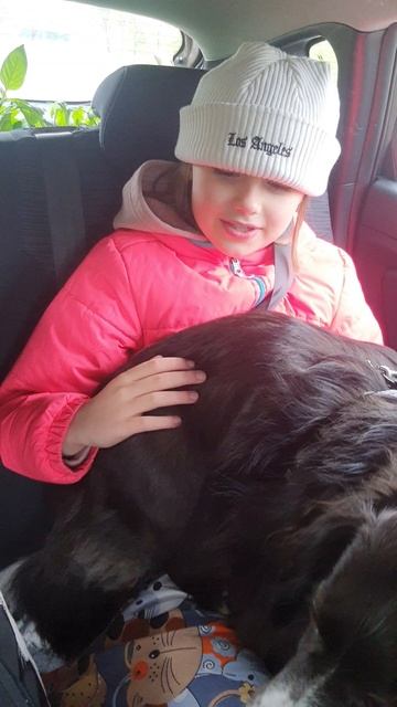 Путешествие в Ивановскую область. Собачка Черничка