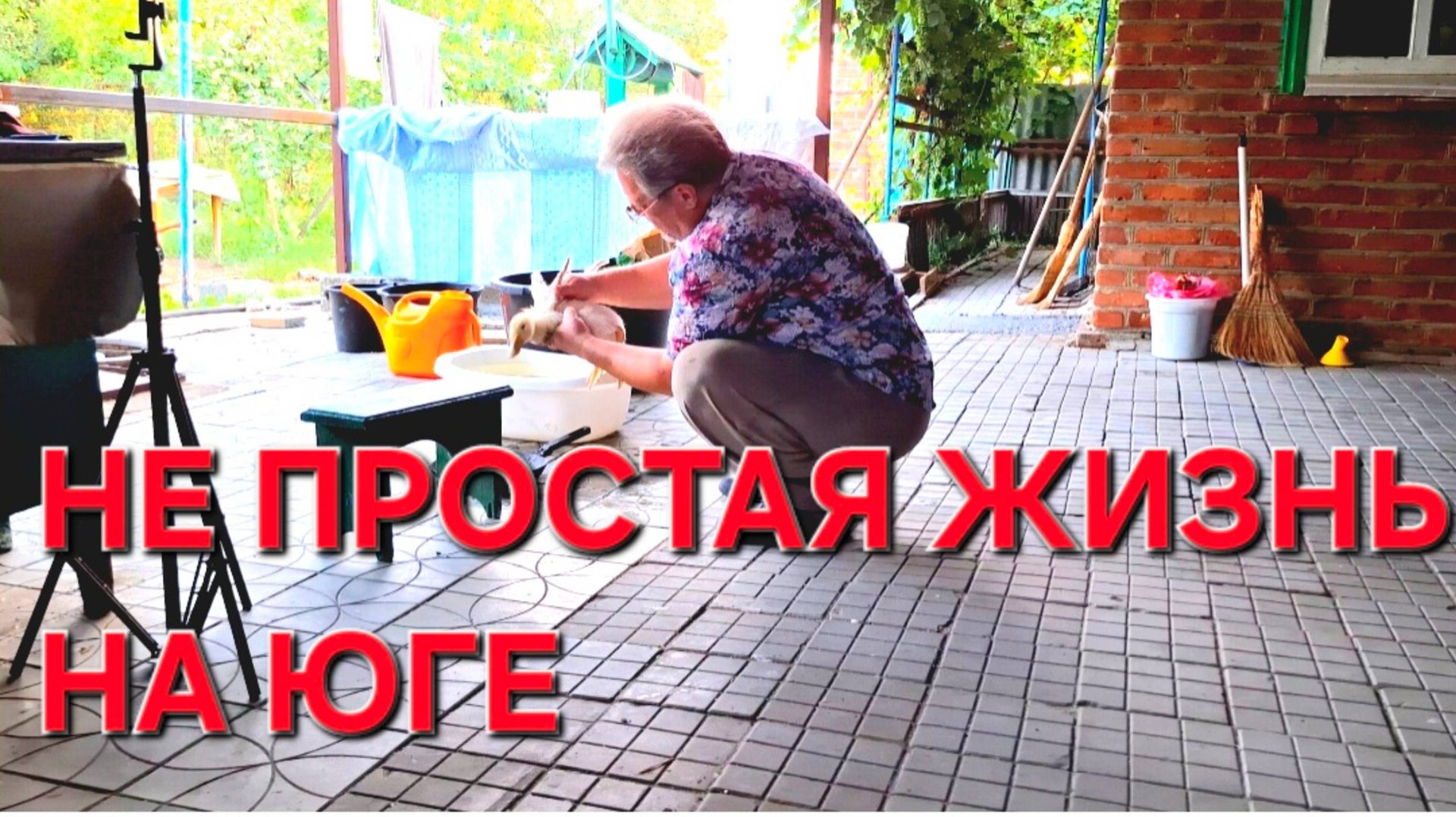 Усадьба на Кубани С лёгкой руки