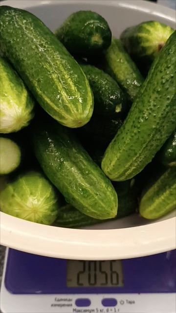 3 рецепта  консервации огурцов....