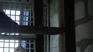 07.08.2025г.У Вити.Итог выводного сезона.