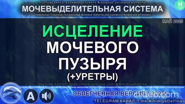 МОЩНЫЙ Саблиминал для МОЧЕВОГО ПУЗЫРЯ + Уретры Исцеление, Облегчение, Восстановление Функций смотреть онлайн