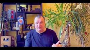 Возраст Земли вывернули