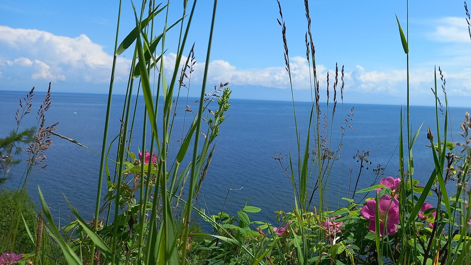 Байкал летом