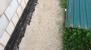 Мопеды сериал | Серия 1438