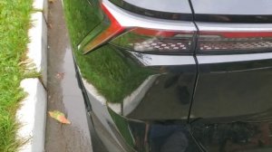 112) Jetour Dashing (Джетур Дашинг). Пробег 18899 км. Влага/конденсат в задней левой фаре #2.