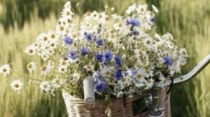 Желаю Доброго ДНЯ! ОЧЕНЬ КРАСИВАЯ МУЗЫКАЛЬНАЯ ВИДЕО ОТКРЫТКА