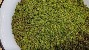 ИВАН - ЧАЙ на зиму. Вот, это китайцы выросли.