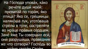 Утренние молитвы на день