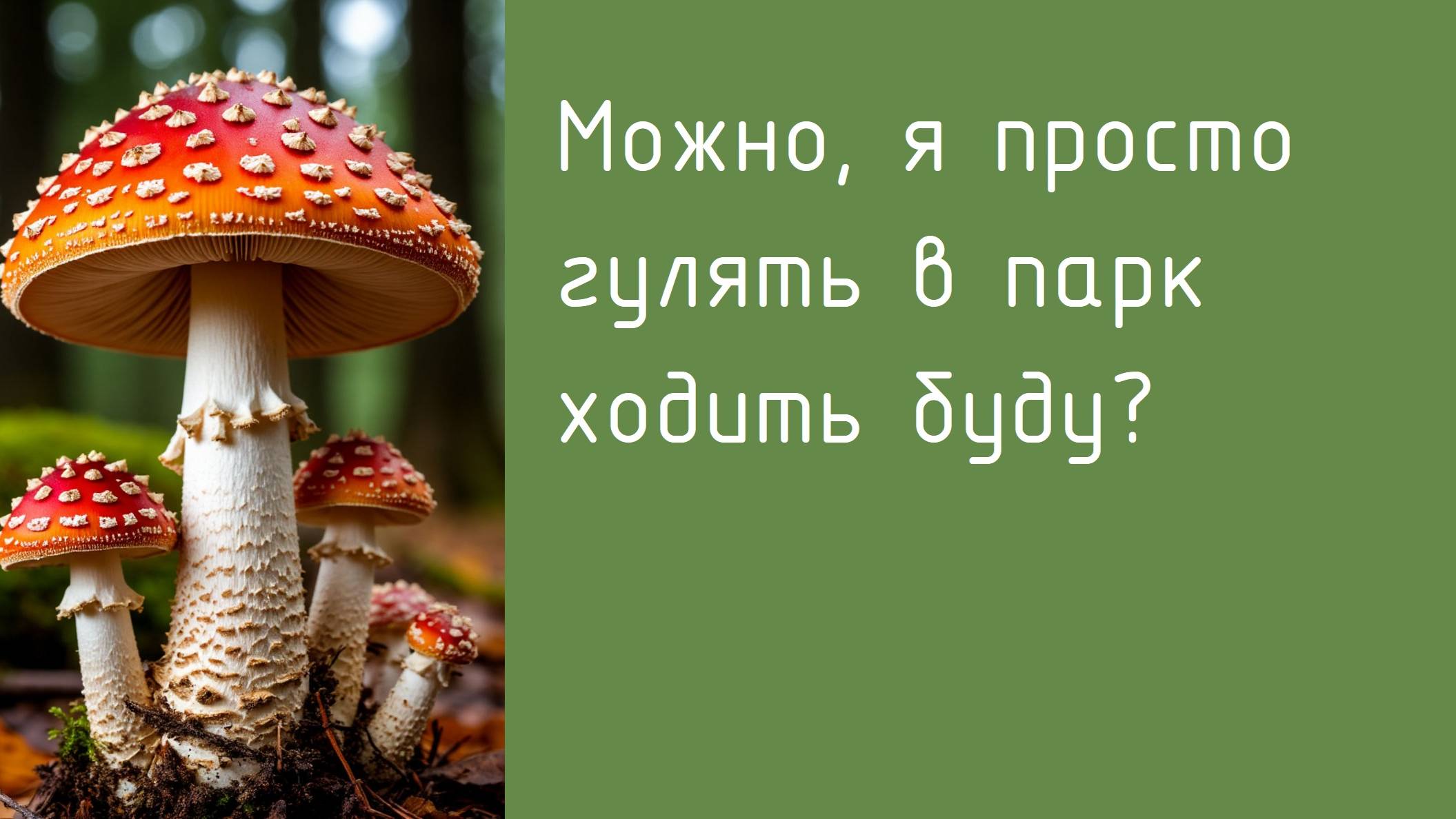 Грибной экстрим