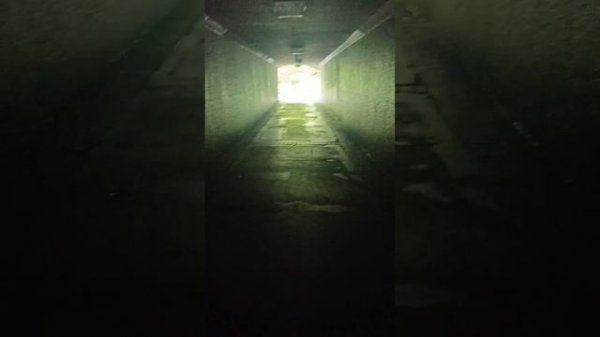 Сергей Трофимов - Алёшка(Cover by SergS)